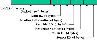 Packet format of the Plug-In-able Switching System.